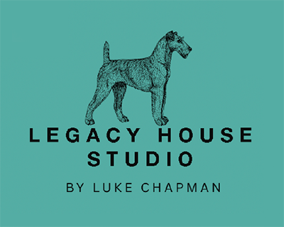 Dog Photography