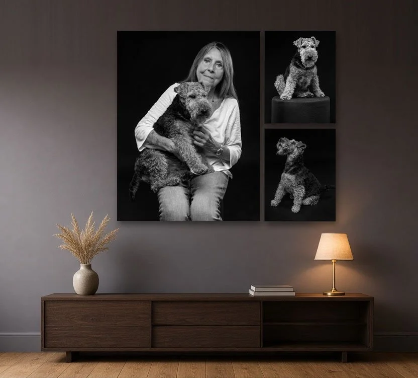 This is our trio canvas print, luxury print, 46 by 40, perfect for your home, to celebrate your beautiful dog.