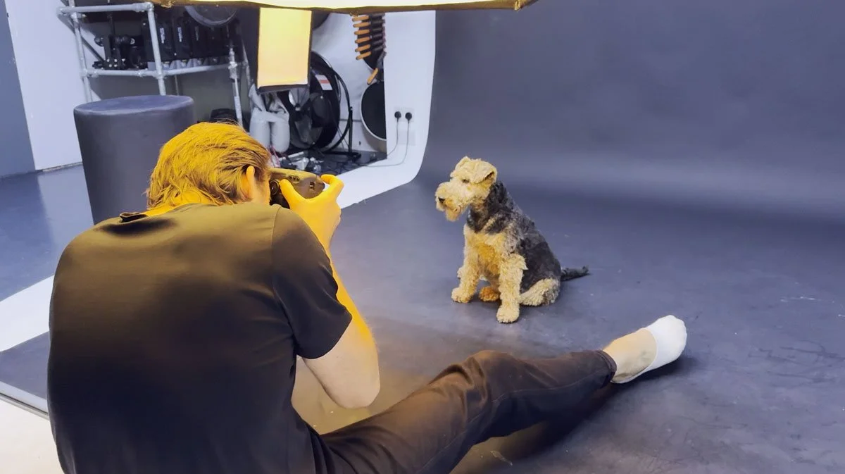 Behind the scenes at the studio, a photographer sits on the floor with his camera raised as Dolly the Welsh Terrier sits and watches him.