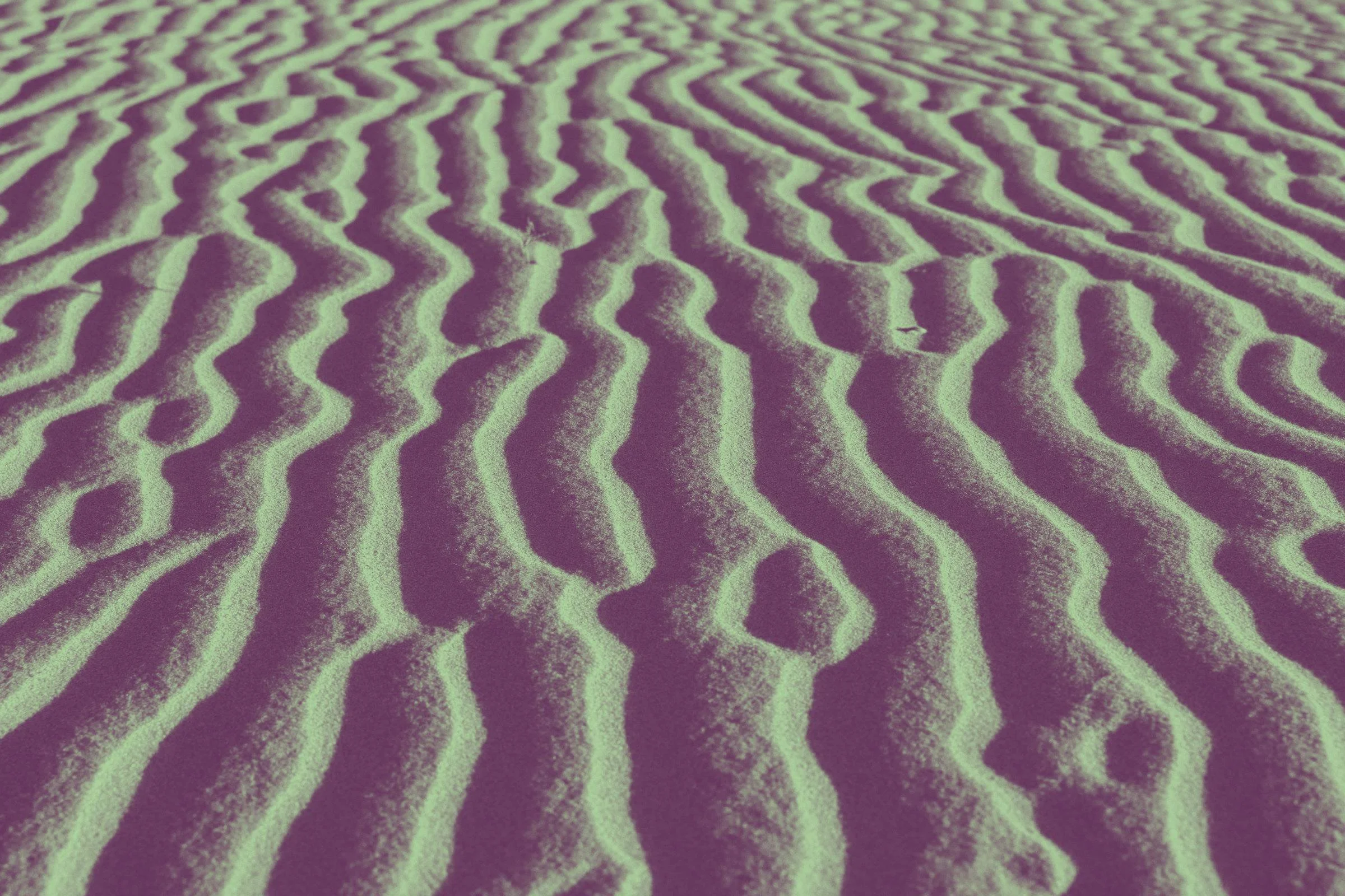 Close-up of rippled sand dunes with a green and purple duotone treatment, used as visual material for an ongoing inquiry into imagination infrastructure in South Asia by Lagori Collective.