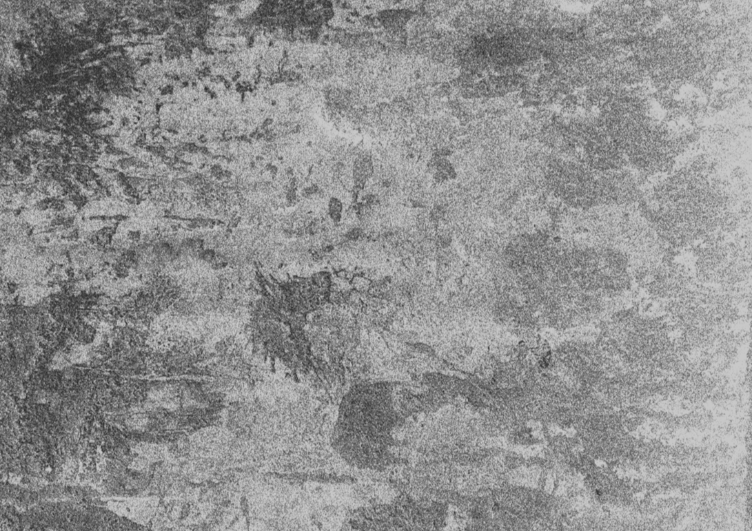 Close-up view of a textured gray stone surface.
