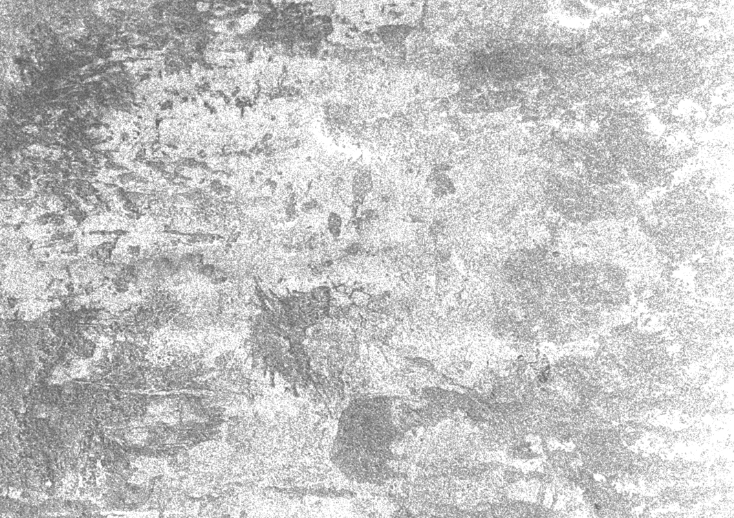Close-up of a textured, gray and white concrete or stone surface.