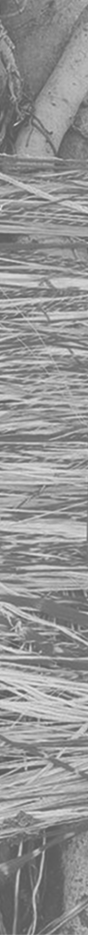 Close-up of a person rowing a boat on a body of water, with part of the boat and oar visible.