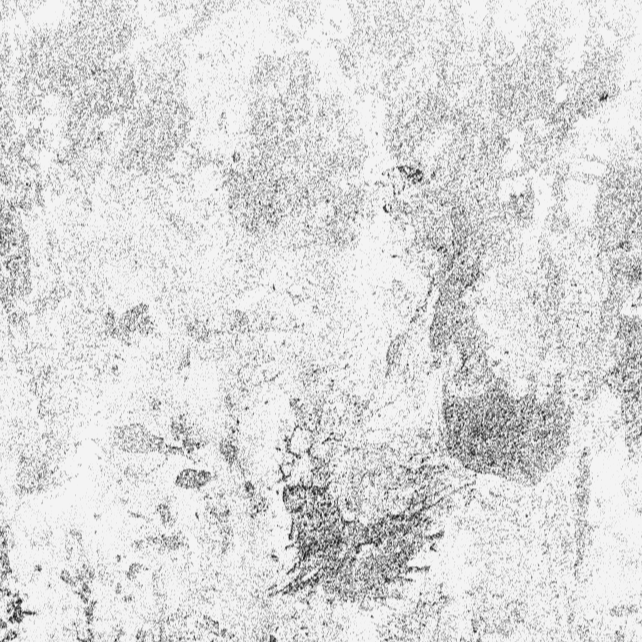 Black and white textured surface resembling a weathered or distressed wall or concrete floor.