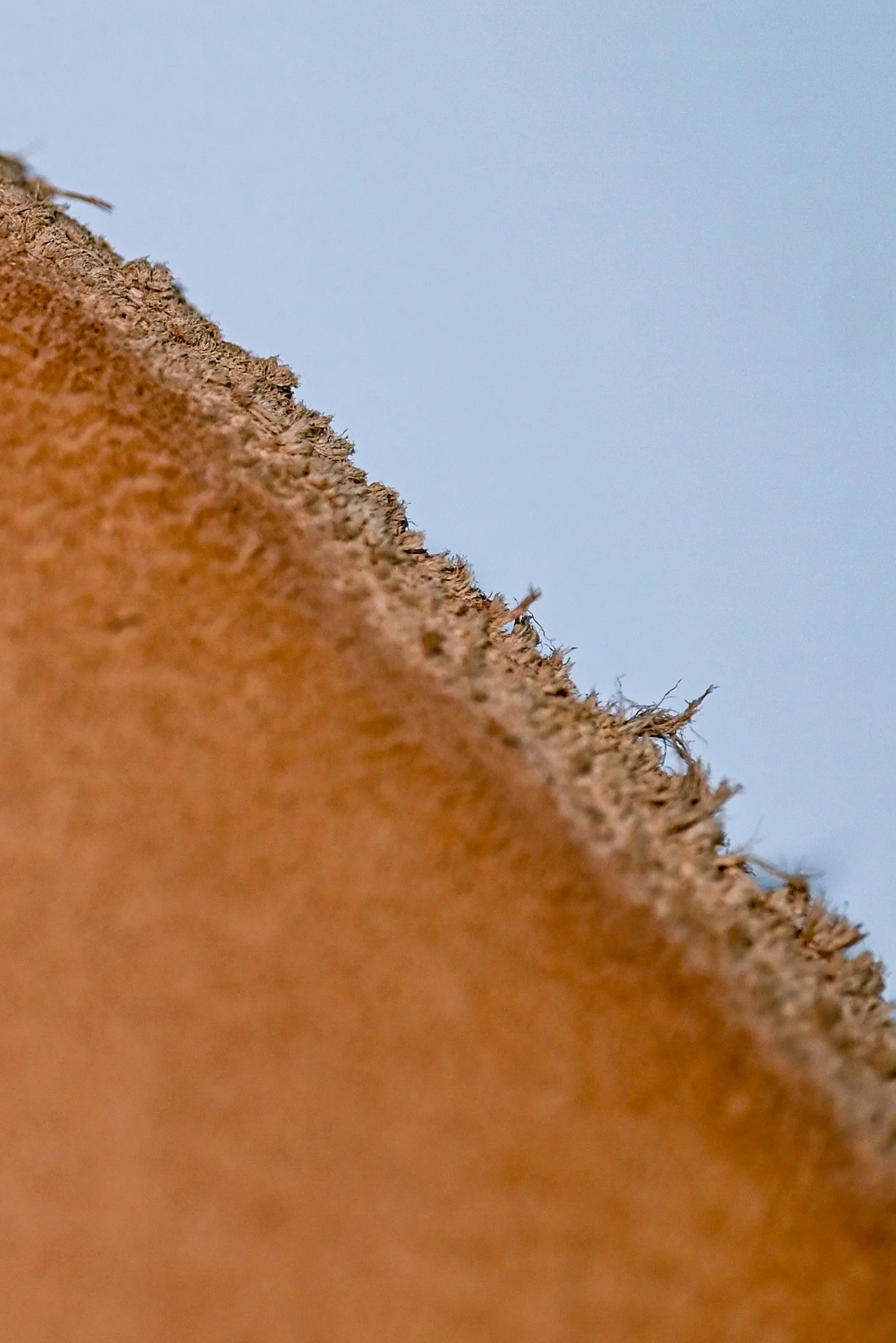 très gros plan d'un bord d'un morceau de cuir tanné végétal de couleur naturel