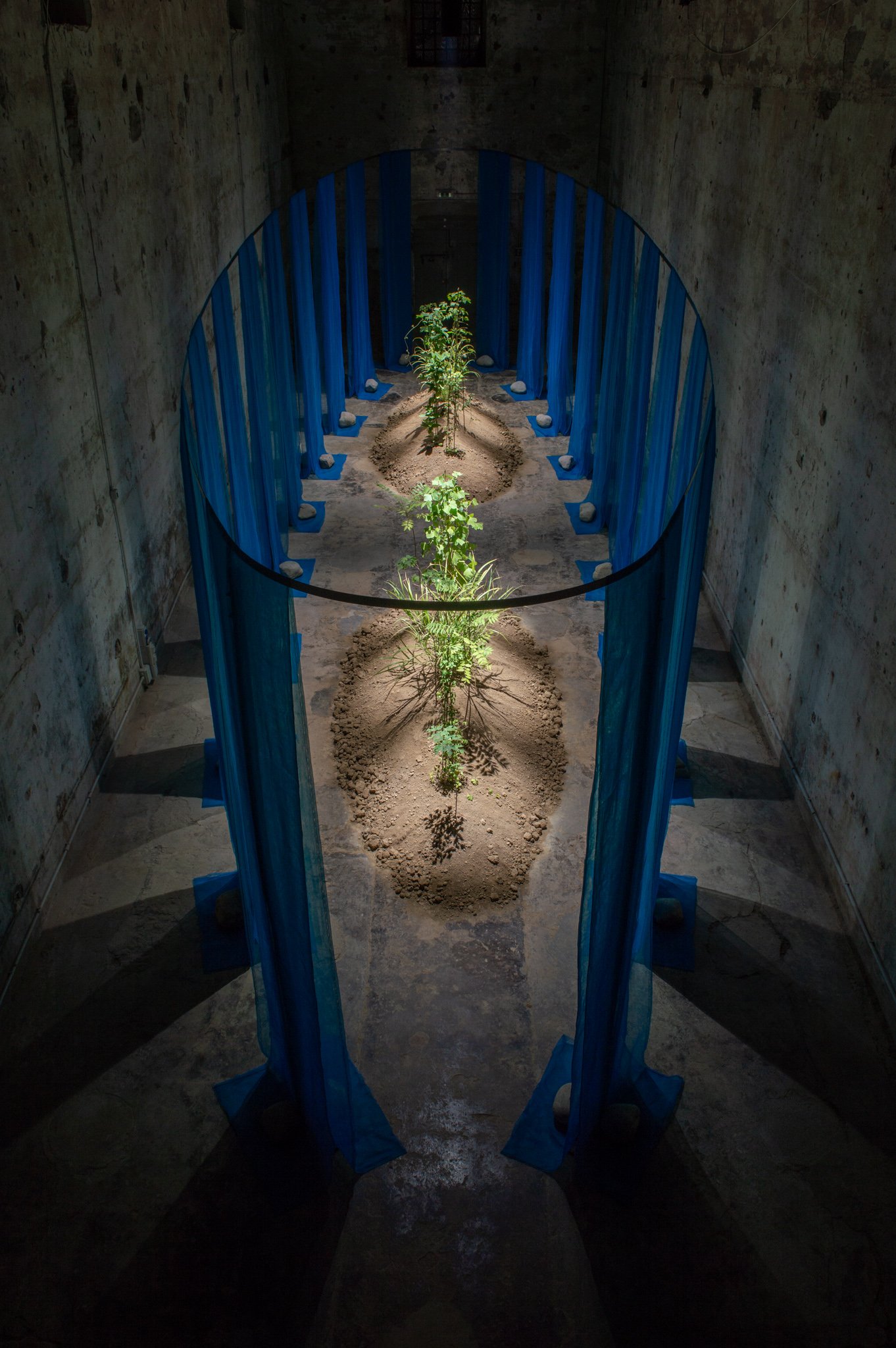The Forbidden Garden