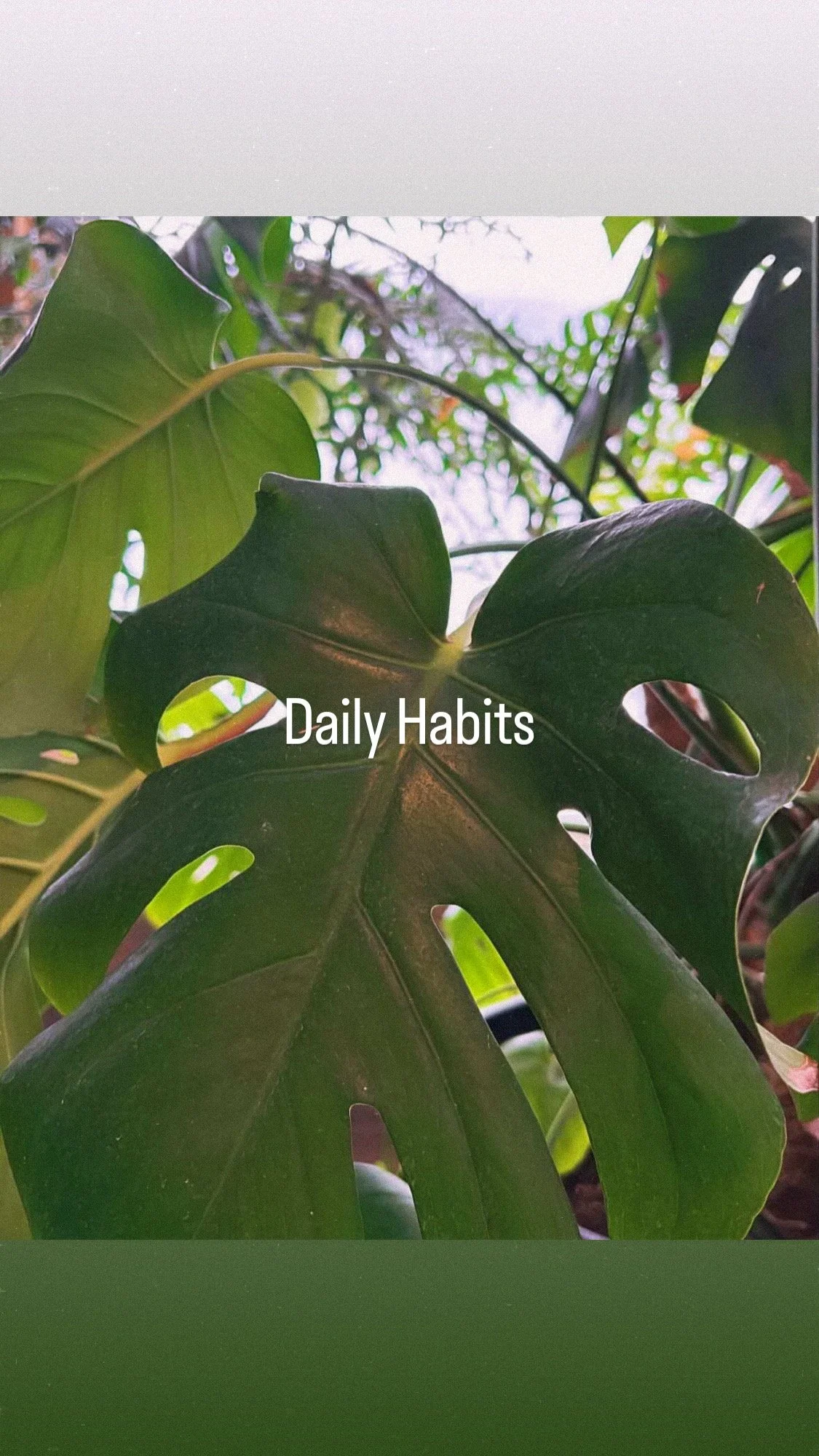 Daily Habits