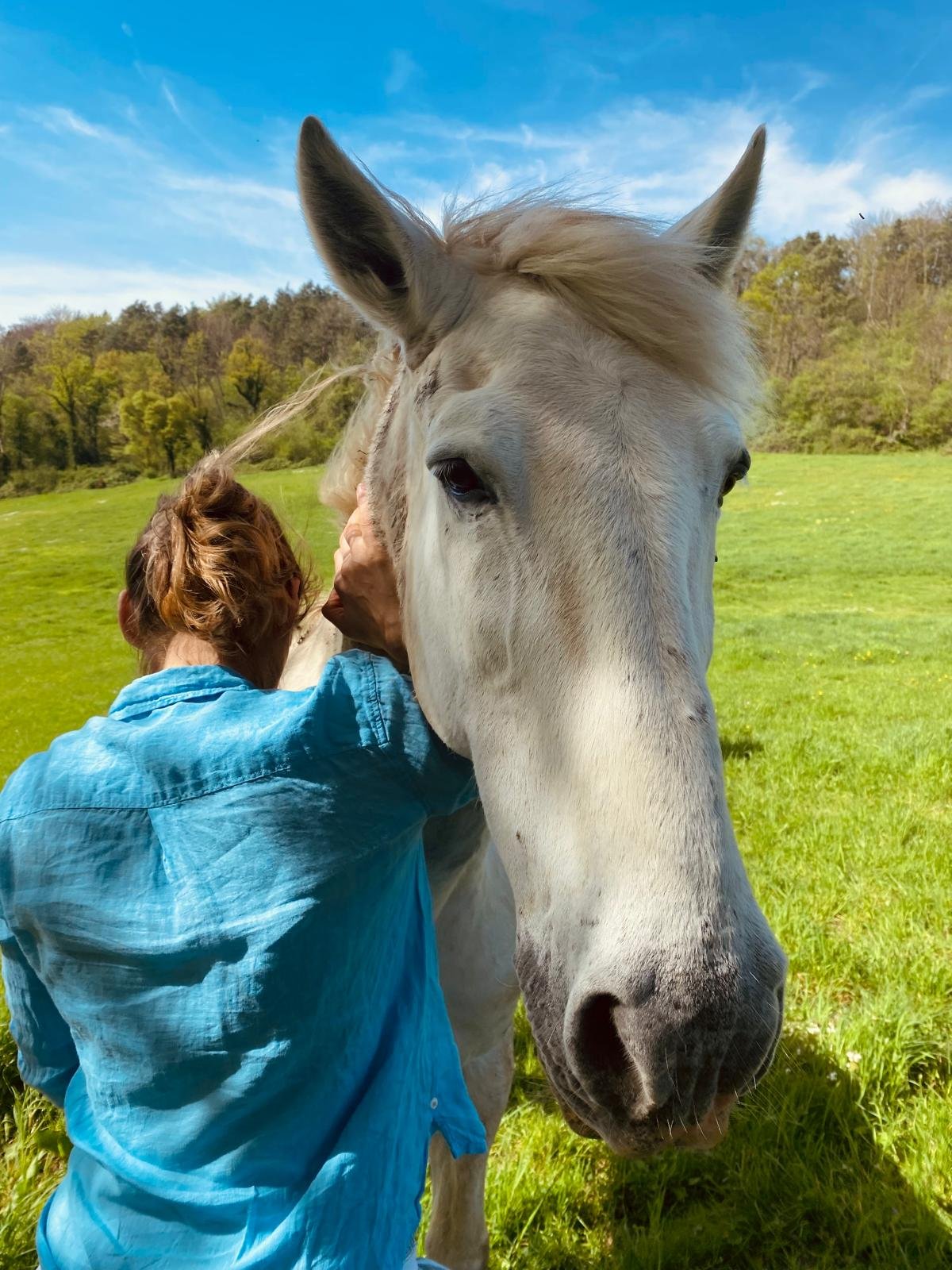 Une femme en chemise bleue caresse un cheval blanc dans un champ vert avec un ciel bleu et des arbres en arrière-plan.