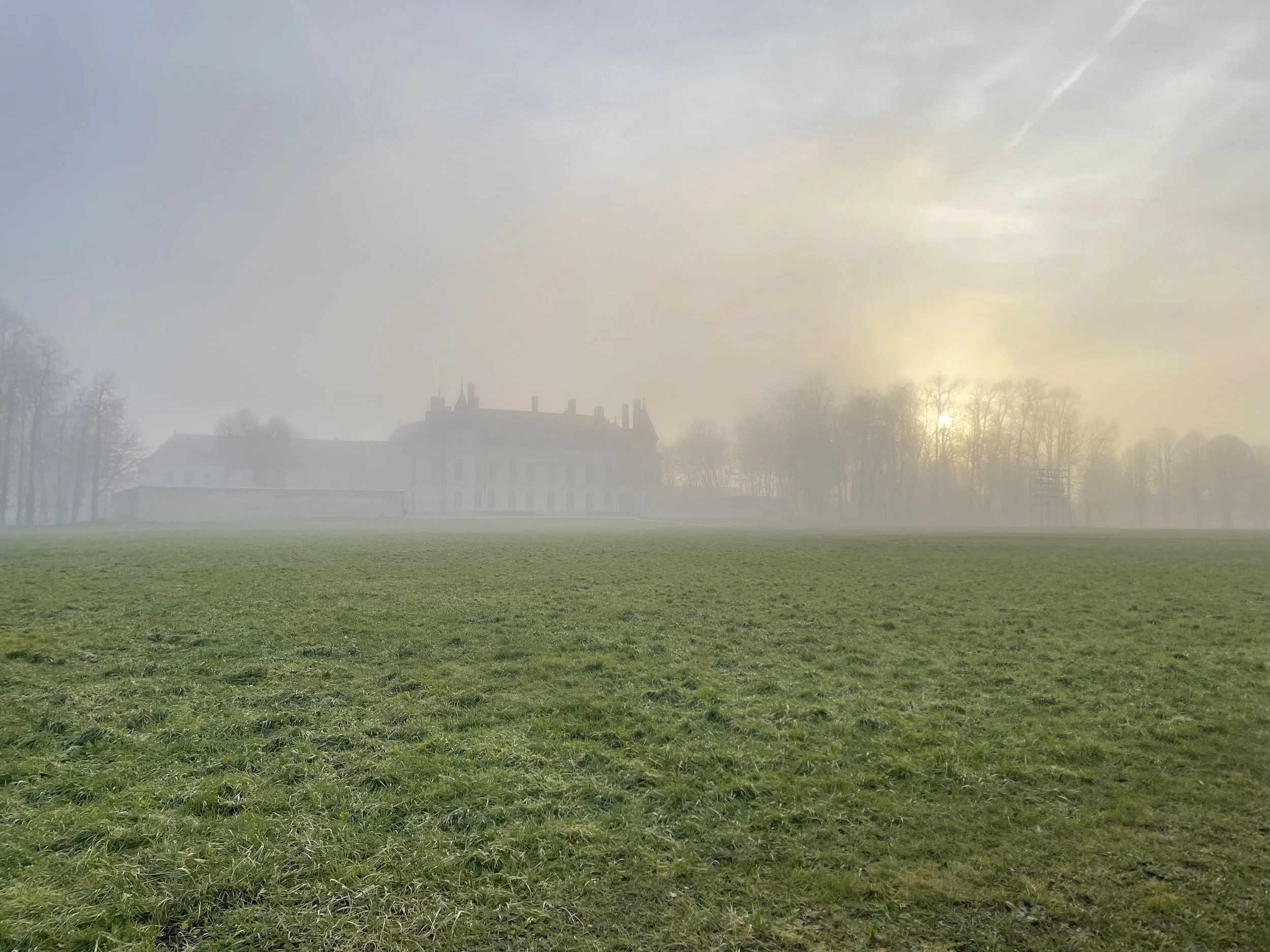 Un grand terrain herbeux devant un vieux château en arrière-plan, enveloppé de brouillard avec le soleil levant ou couchant derrière les arbres.