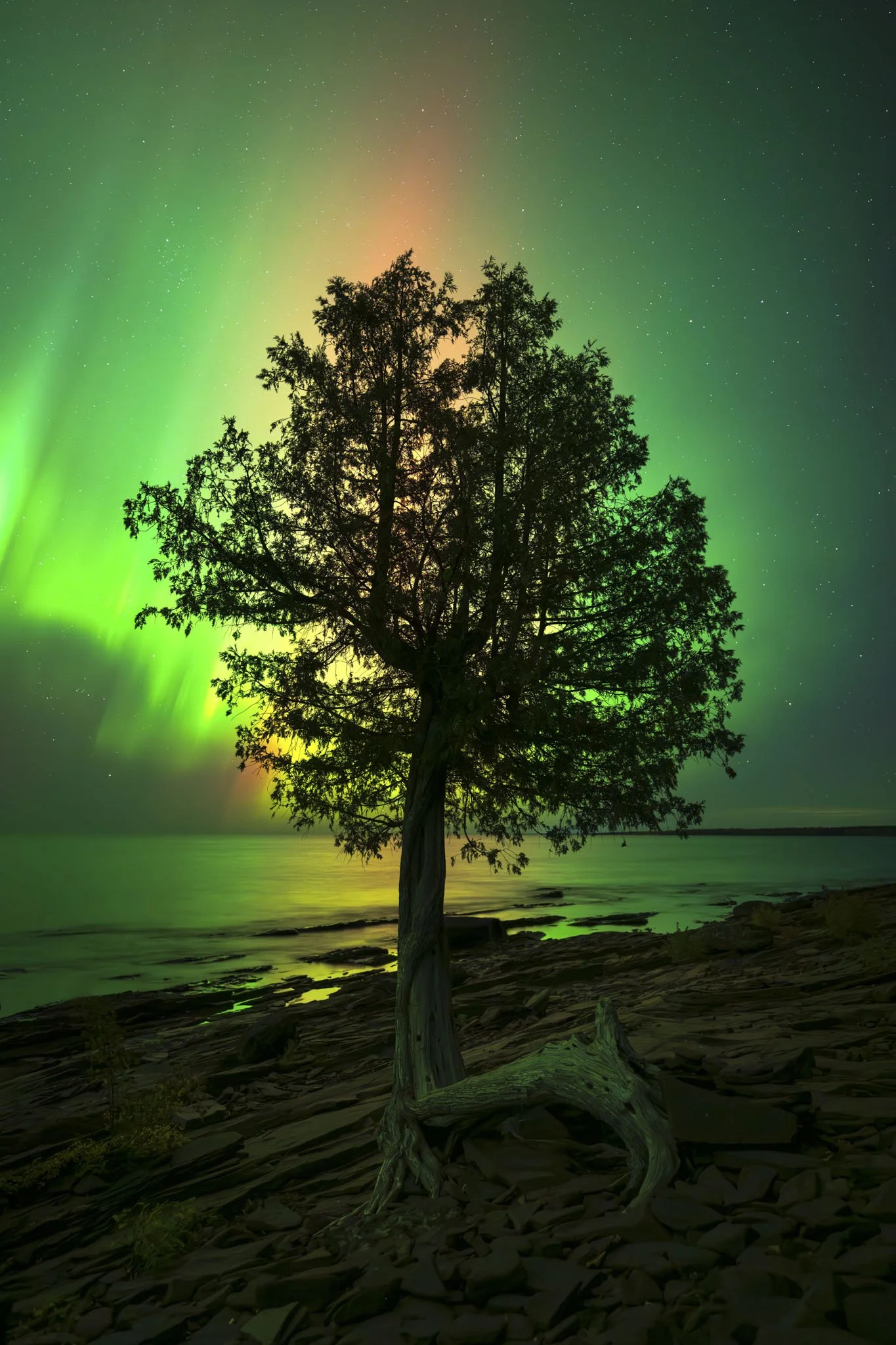 Union-Bay-Northern-Lights.jpg