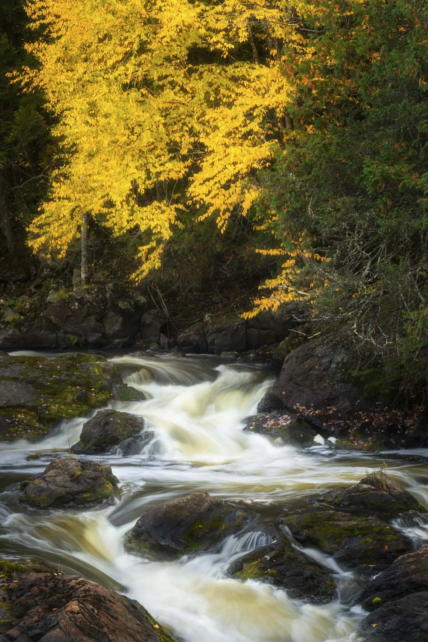 Upper-Peninsula-Autumn-Color.jpg