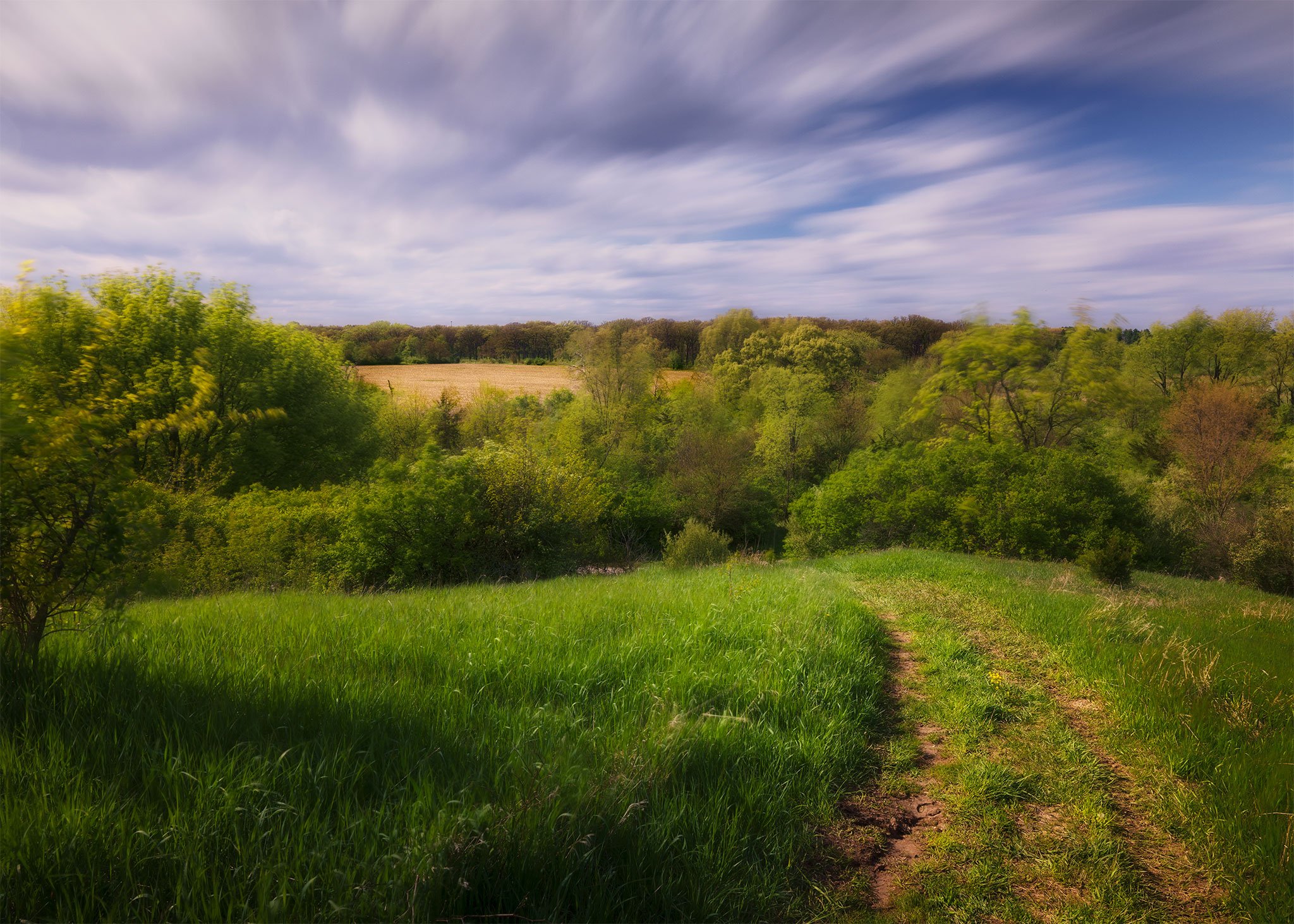 526-Spring-Skies.jpg