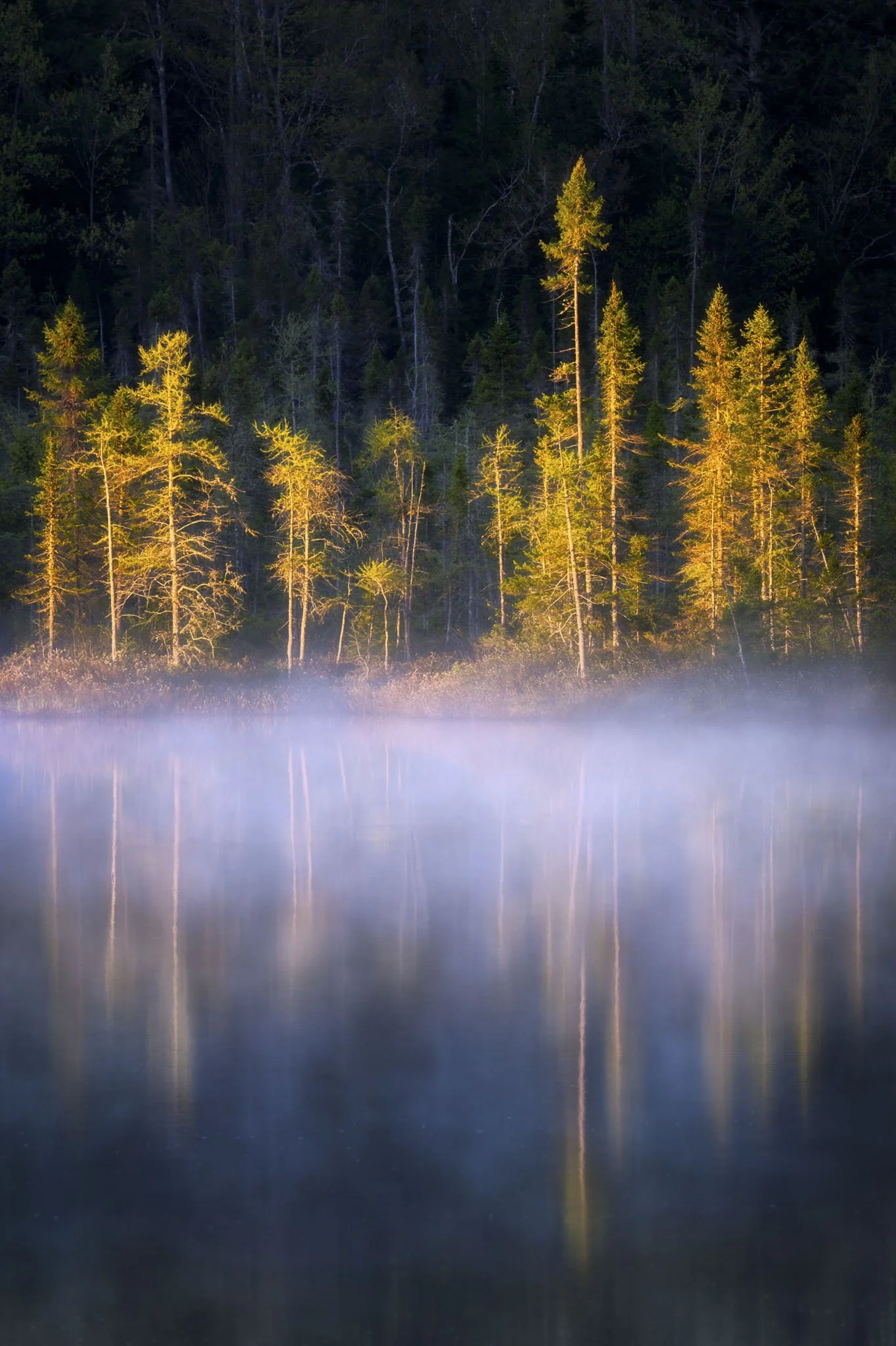 Upper-Peninsula-Landscape-Photography-Sunrise-Fog-Lake.jpg