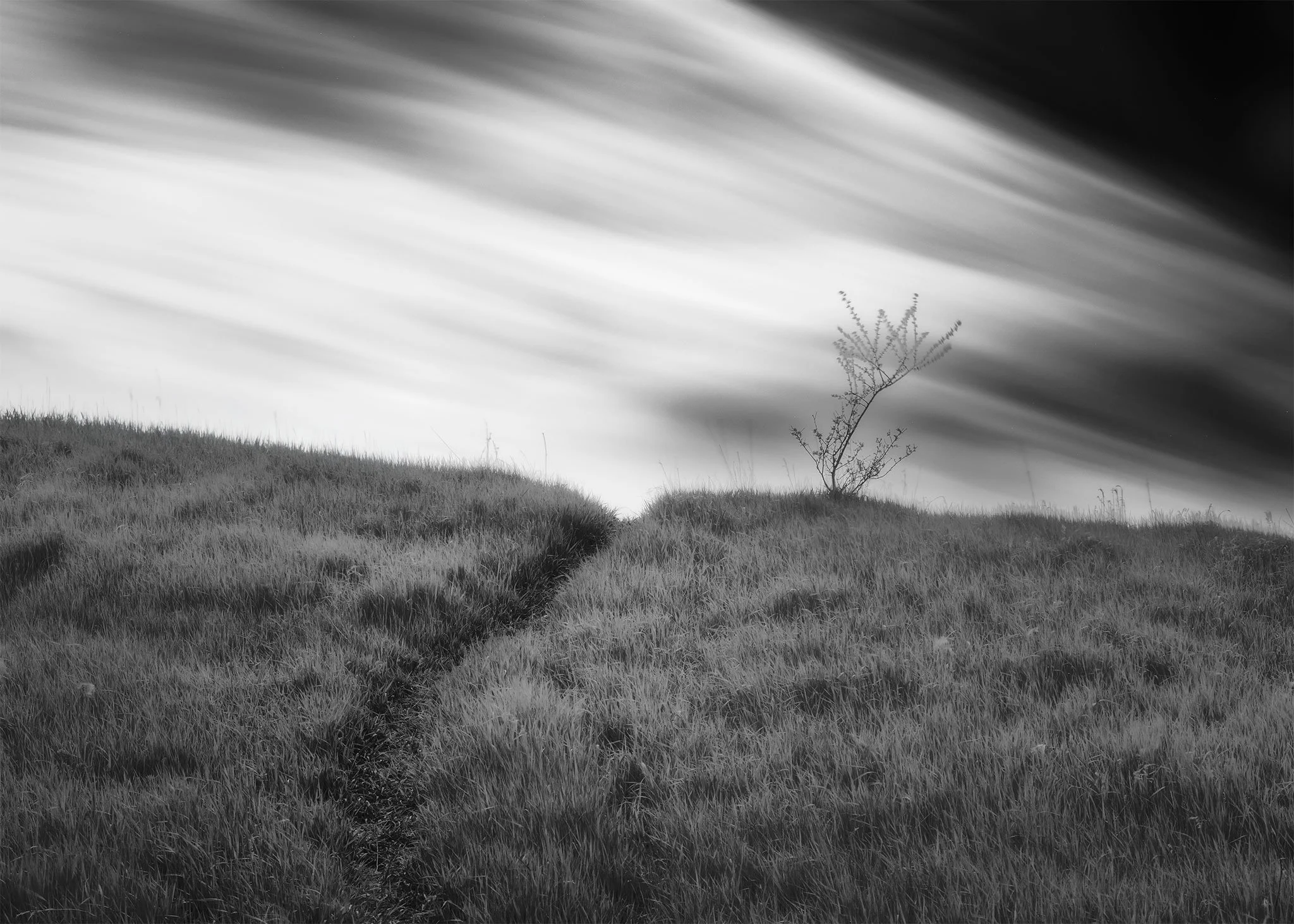 526-The-Hilltop.jpg