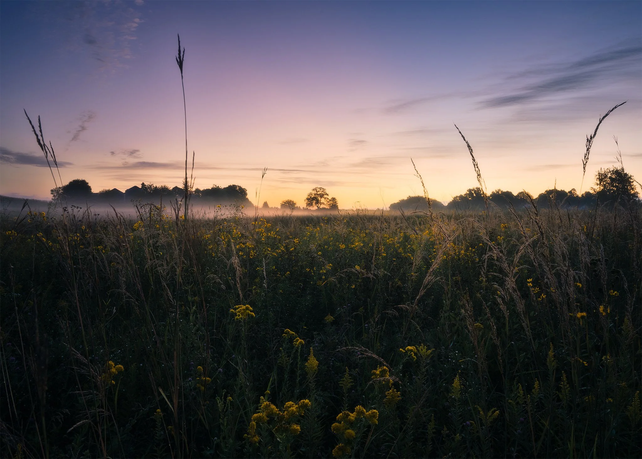 926-Sauk-Prairie-Foggy-Sunrise.jpg