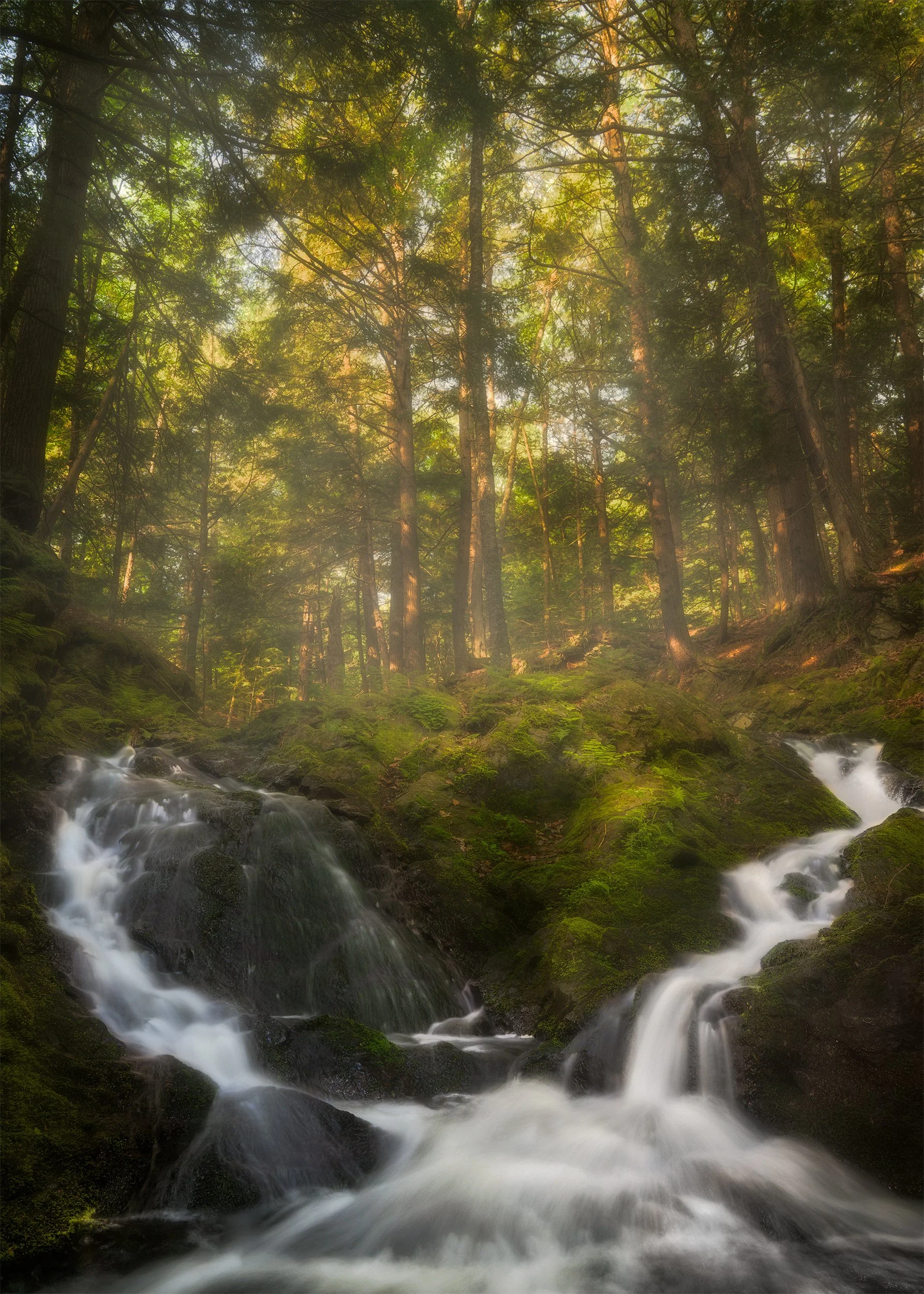 524-Dans-Falls.jpg