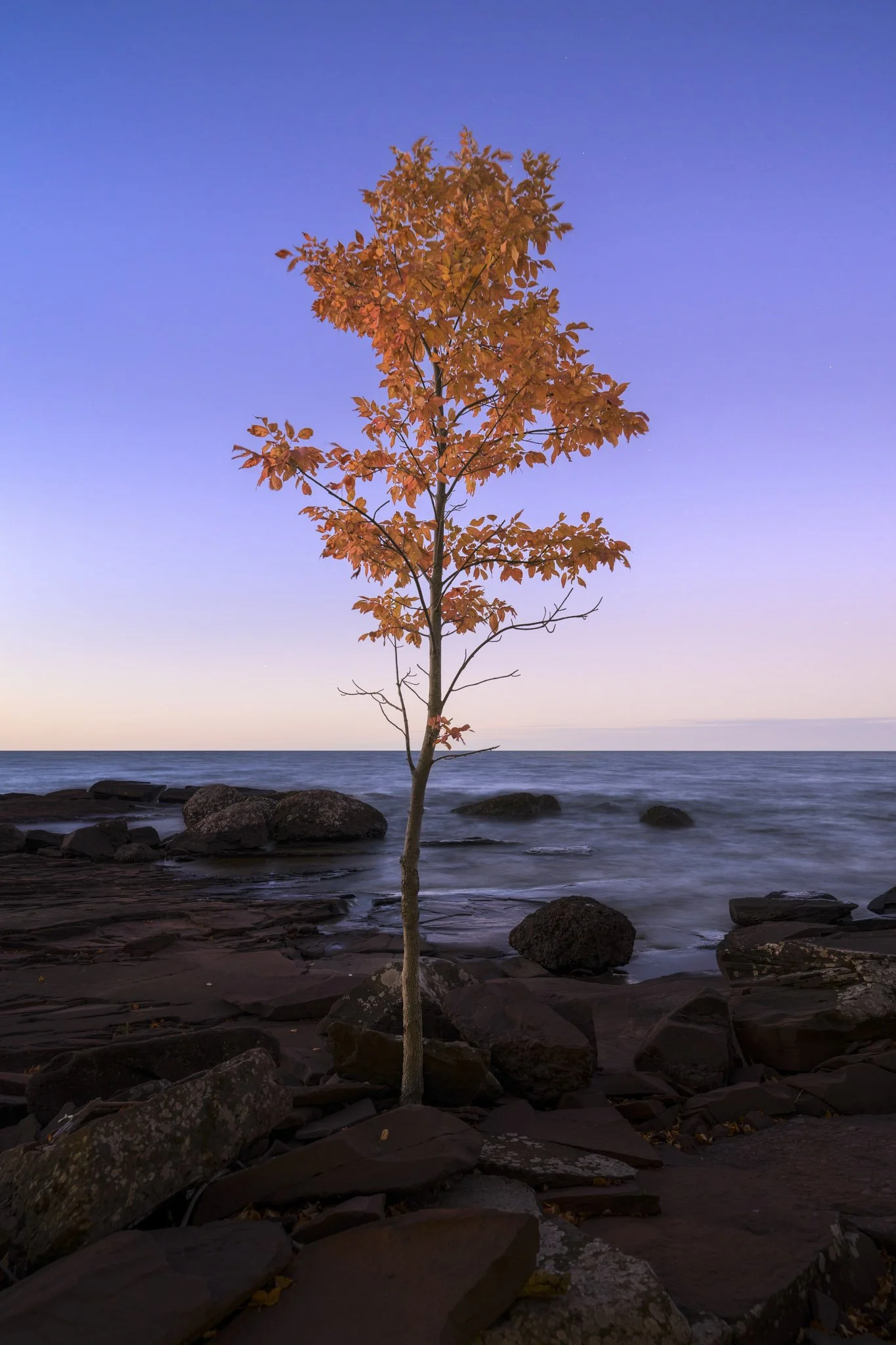 Union-Bay-Fall-Color.jpg