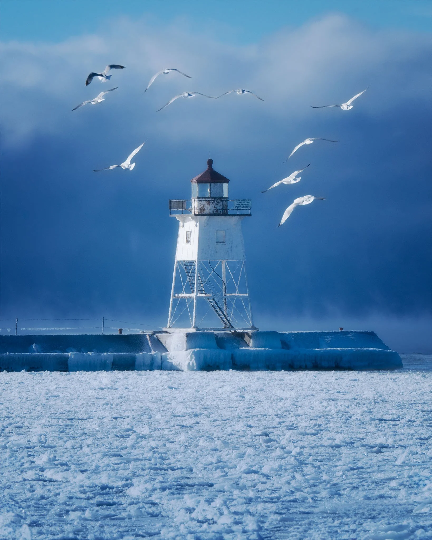 Artist-Point-Lighthouse-Birds.jpg