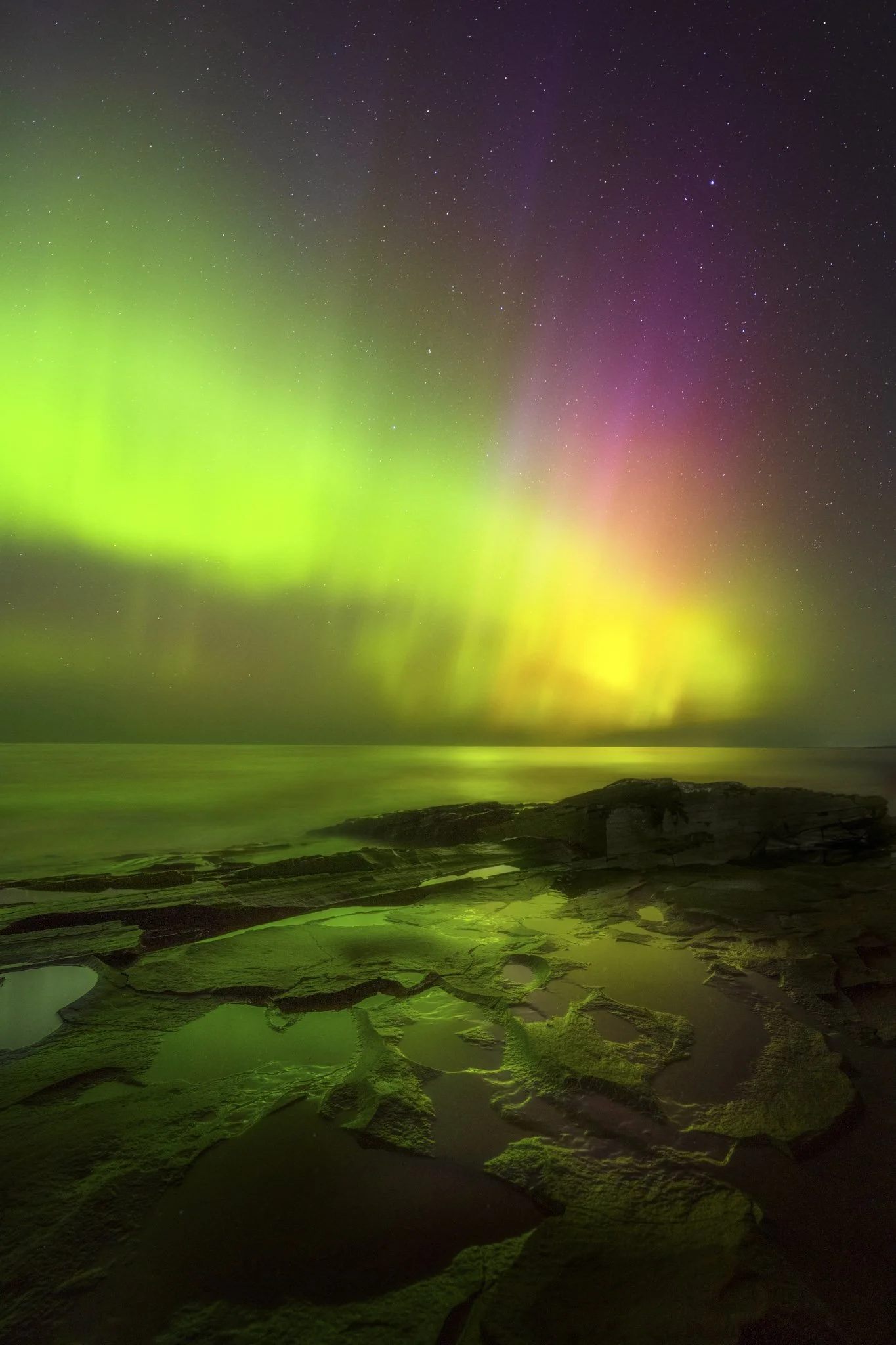 Union-Bay-Shoreline-Northern-Lights.jpg
