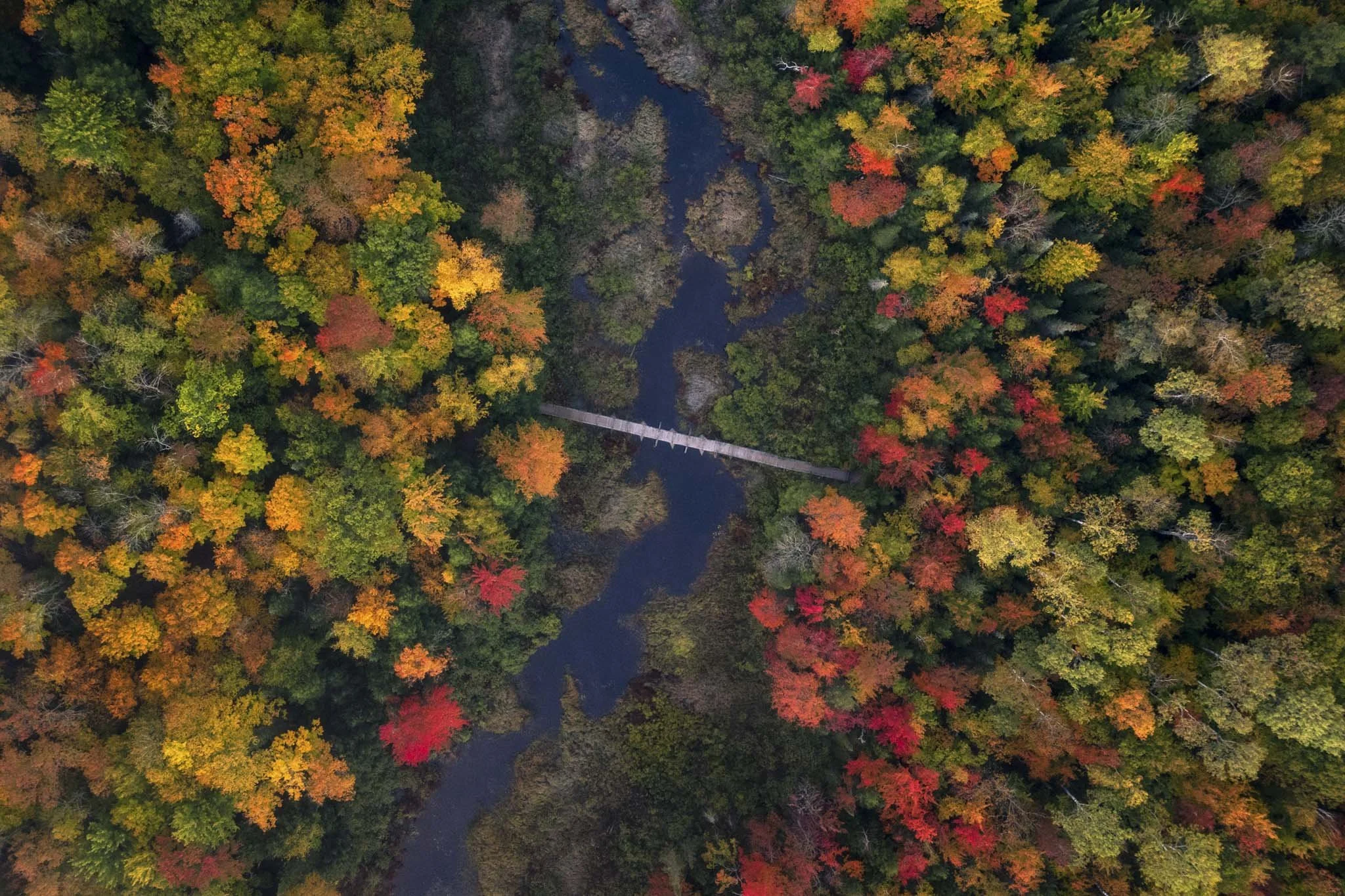 Lake-of-The-Clouds-Bridge-Porcupine-Mountains.jpg