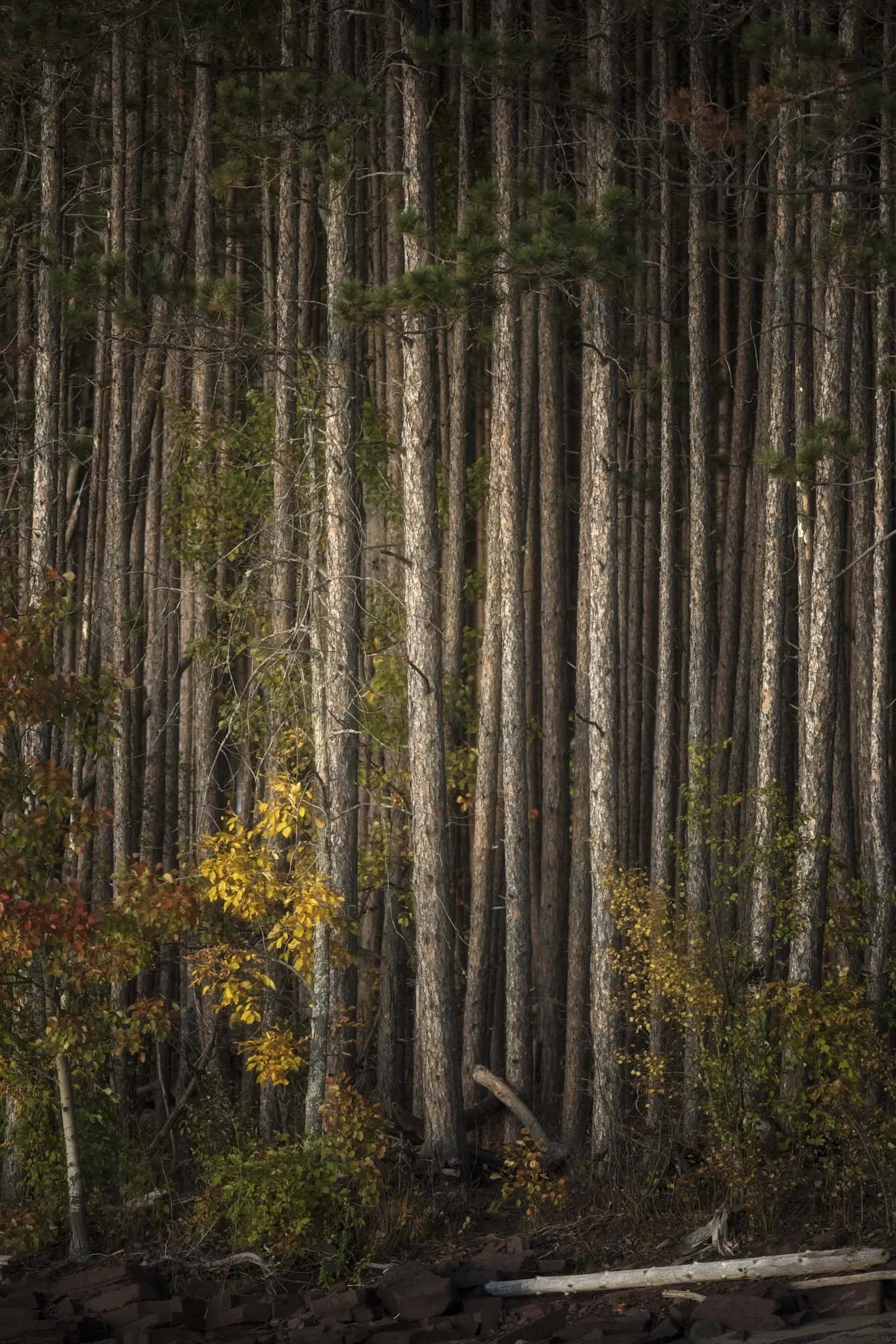 Shoreline-Sentinels-Lake-Superior.jpg