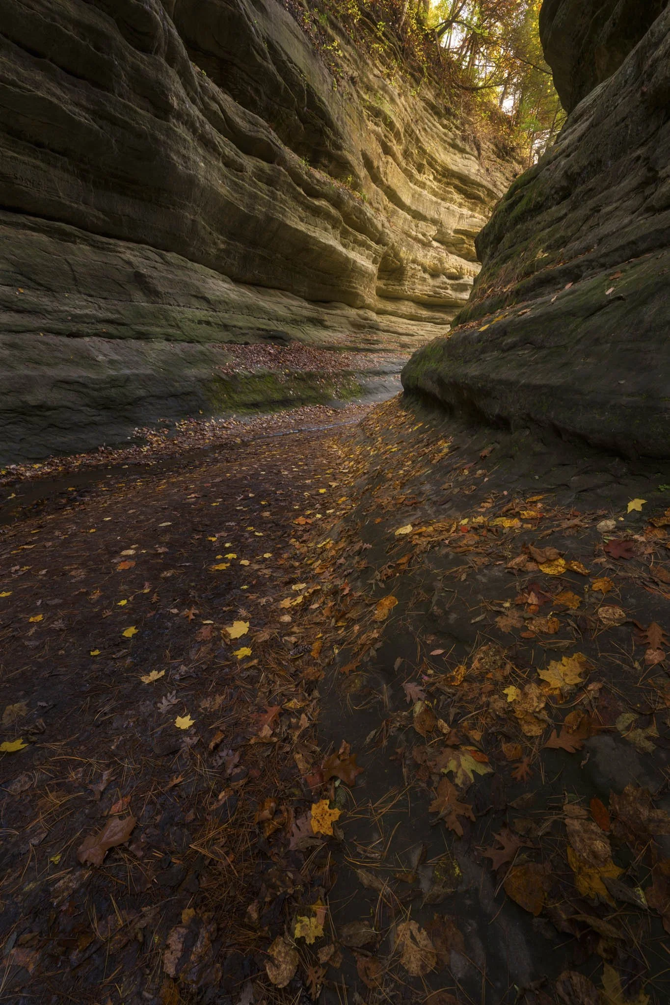 Starved-Rock-French-Canyon-Fall-Color.jpg