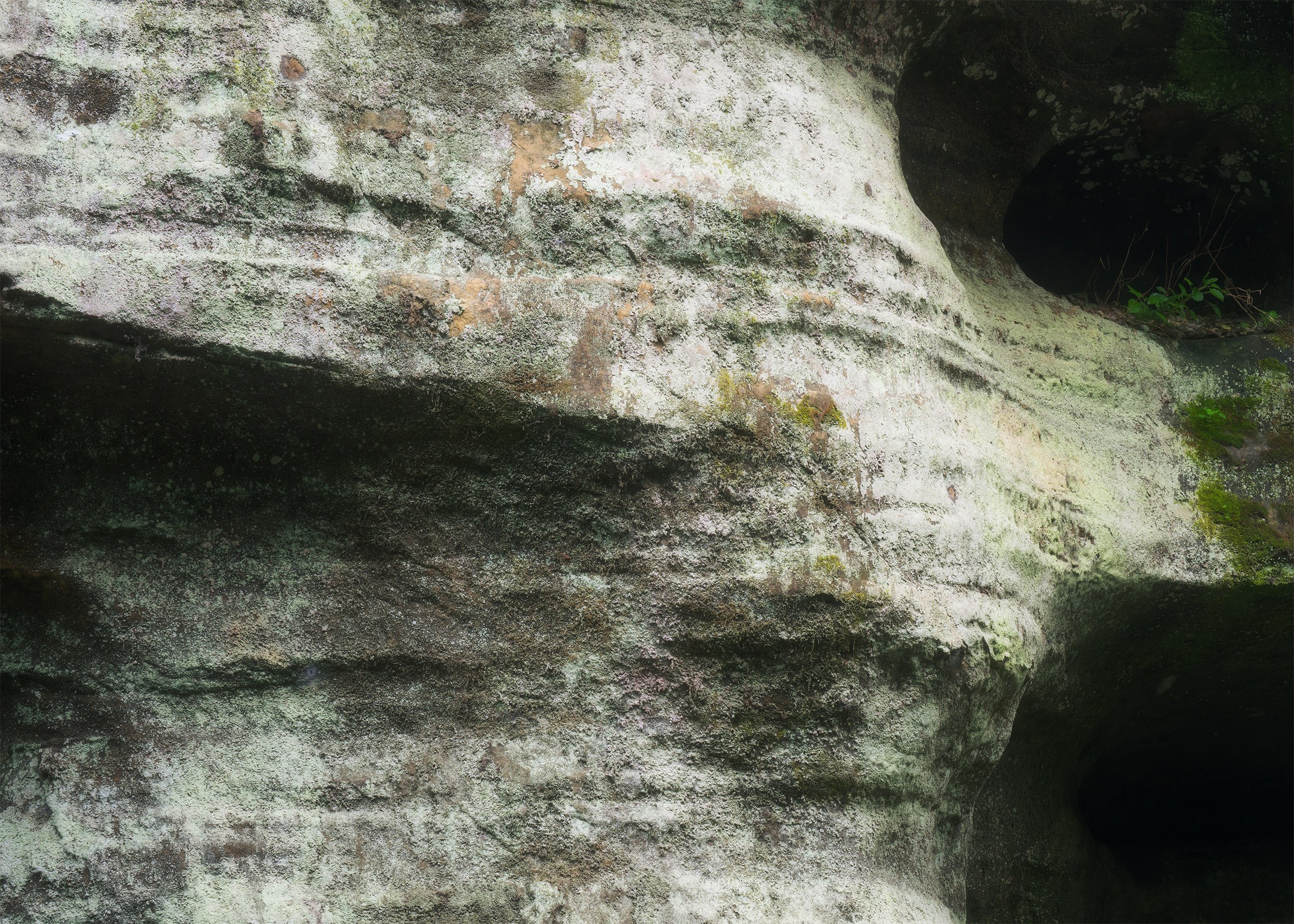 Matthiessen-River-Textures.jpg
