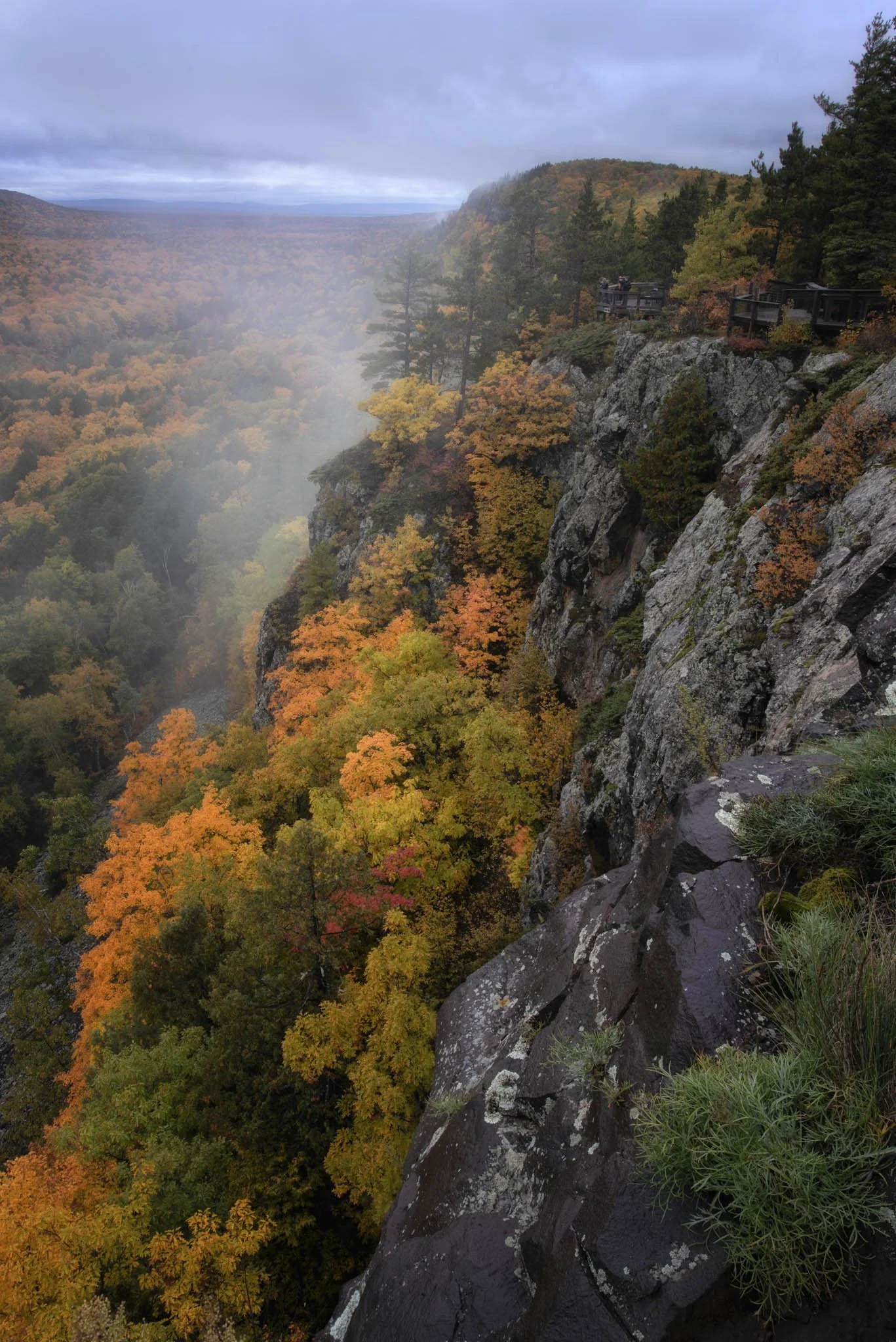 Porcupine-Moutnains-Autumn-Fog.jpg