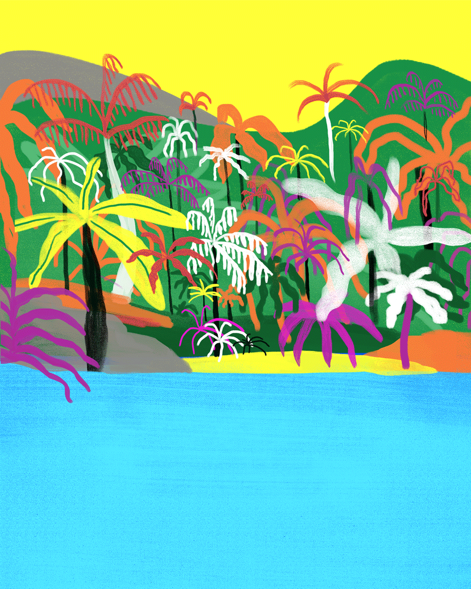 Animation