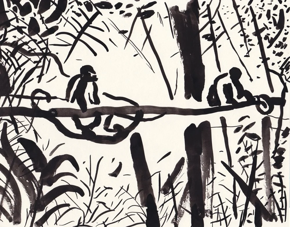 amazonas5.jpg