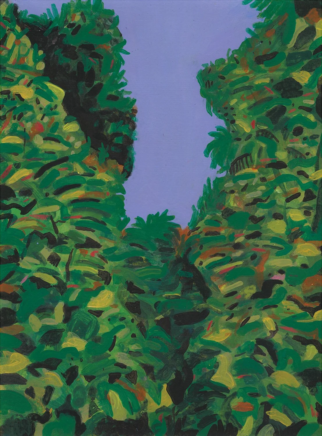 07_Selva.jpg