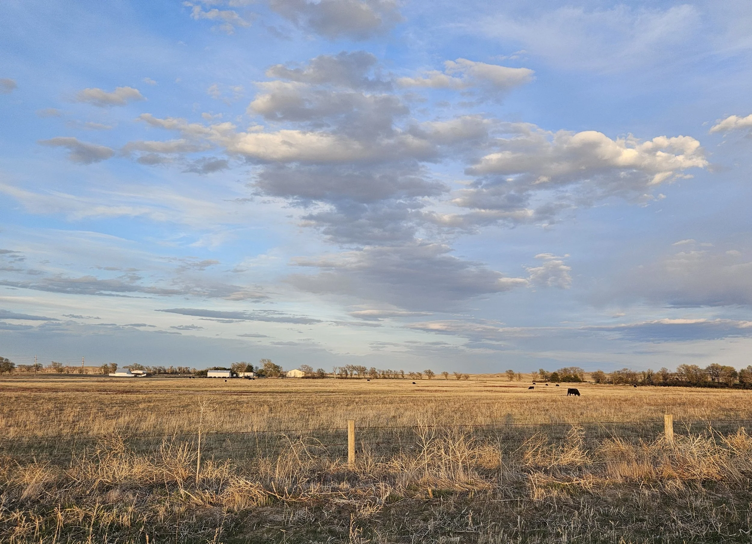 Big Sky.jpg