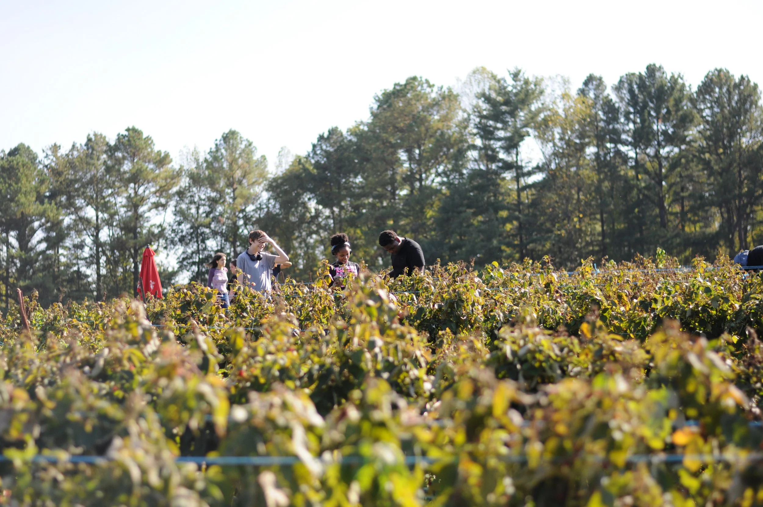Travel - Jr Retreat Raspberries.jpg