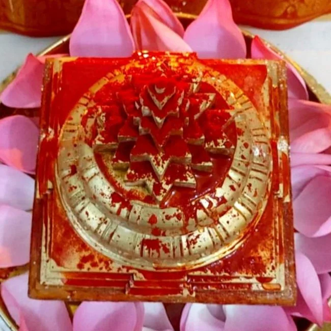A carved soap or decorative object with a spiral and star design, surrounded by pink flower petals.
