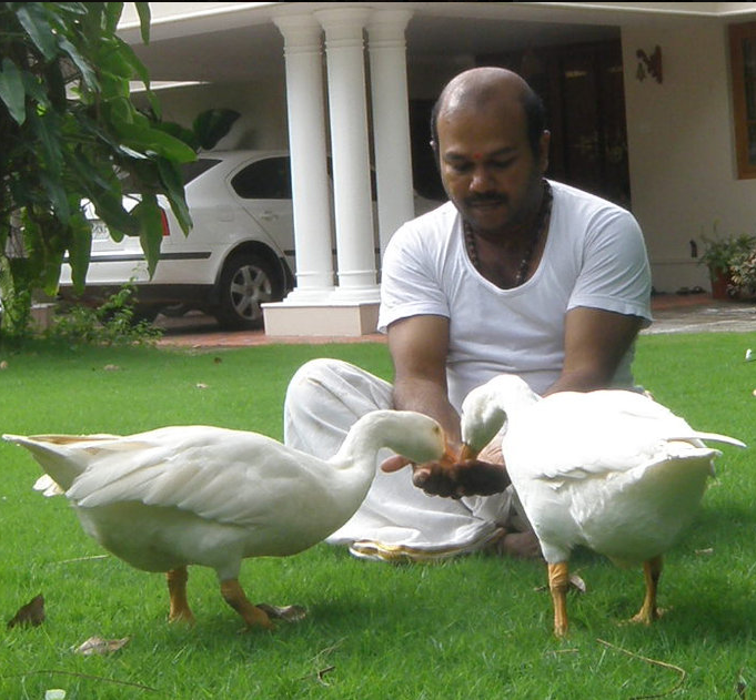 A man sitting cross-legged on a well-manicured lawn, feeding two white ducks. In the background, there is a white car and part of a house with white columns and a porch.