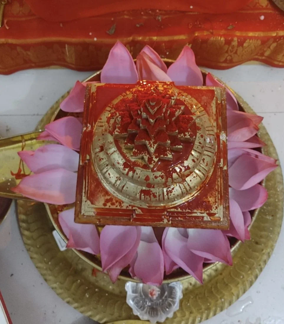 A decorated triangular-shaped cake with red and gold colors, surrounded by pink flower petals, on a circular golden tray.