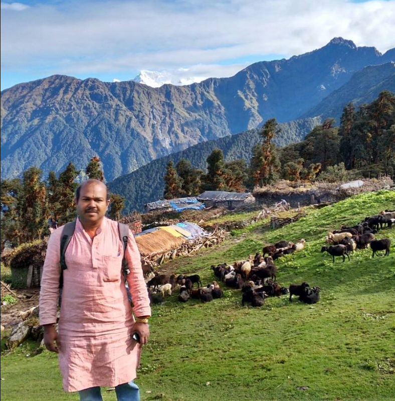 A man standing on a green hillside, surrounded by grazing yaks, with mountains in the background.
