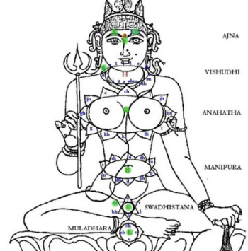 Line drawing of the Hindu deity Lord Shiva with labels indicating different energy centers or chakras of the body, including Ajna, Vishuddhi, Anahatha, Manipura, Swadhistana, Muladhara, and Muladhara.