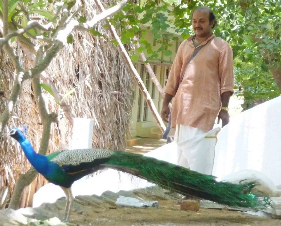 A man in traditional Indian clothing standing outdoors near a stuffed peacock on a white cloth-covered table.