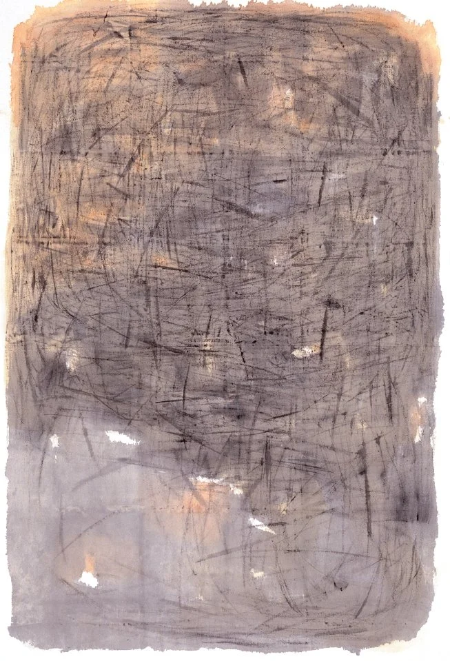 이름없는 형체 14 Nameless entity 14_2000_190x129.5cm