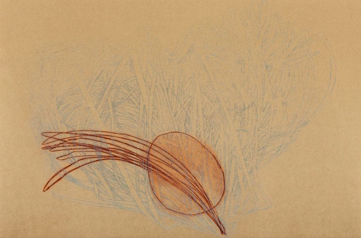 素-풀기를 위한 드로잉 04 Drawing for So-Undo 04_Etching, Drypoint_2008_19.5x29.6cm