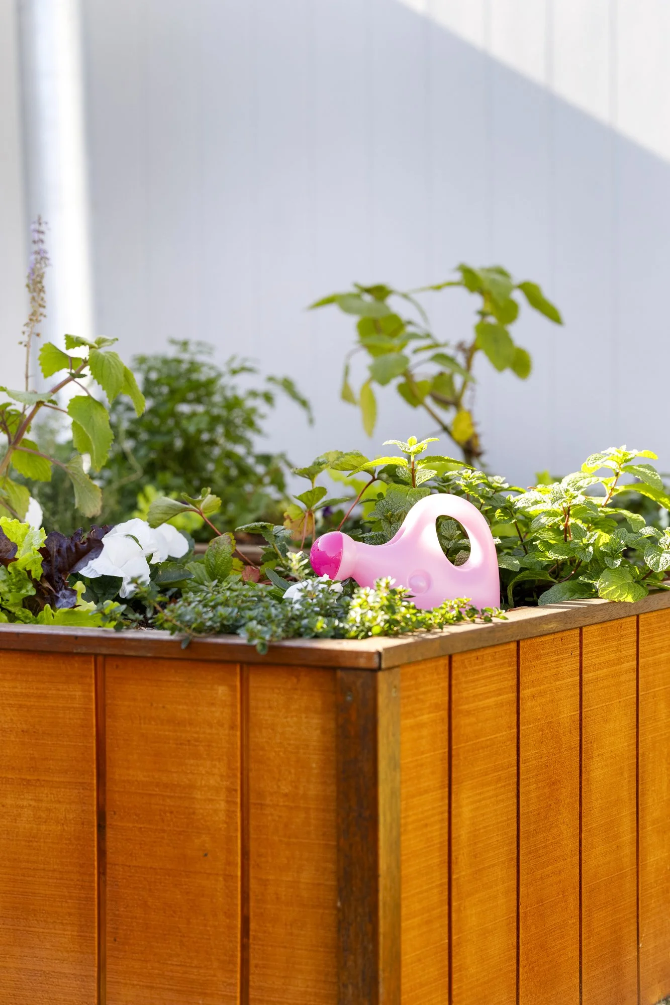 A wooden planter box filled with green plants and flowers, including a pink watering can and white flowers, situated against a white wall with sunlight.
