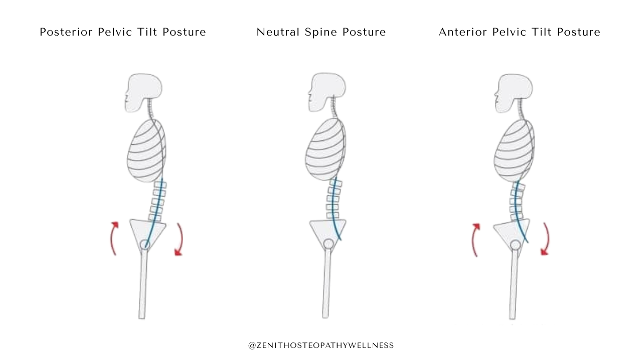 Is Your Posture Really that Important? What You Need To Know — ZENITH ...