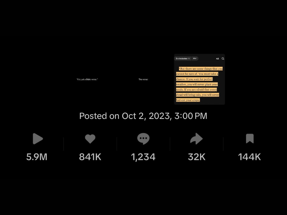 Social Media Strategist Portfolio Case Studies - DivineRescue (4).png