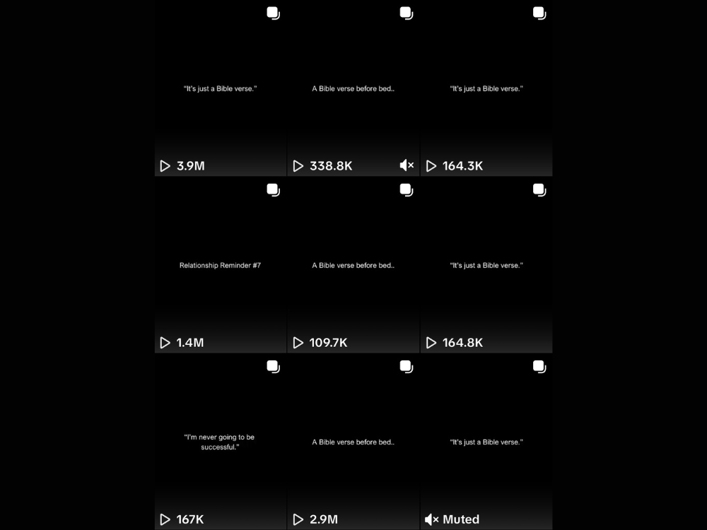 Social Media Strategist Portfolio Case Studies - DivineRescue (5).png