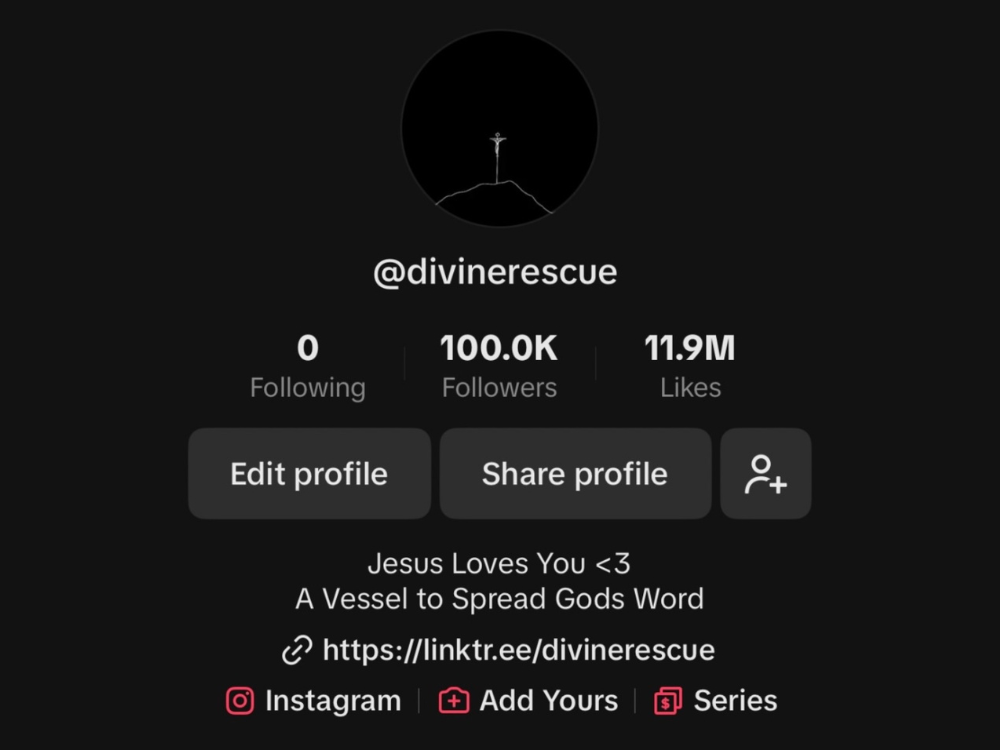 Social Media Strategist Portfolio Case Studies - DivineRescue.png