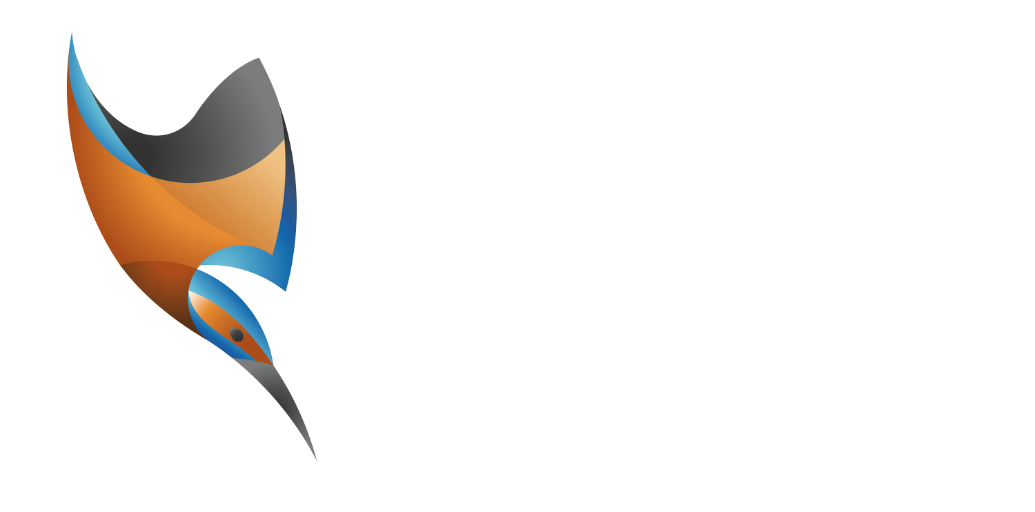 Ampleur Communication