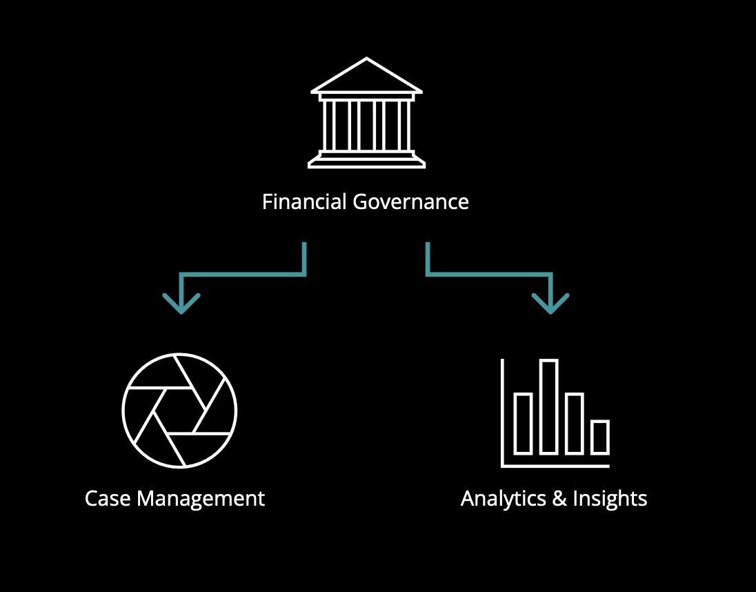 Diagram showing the relationship between financial governance, case management, and analytics & insights, with icons representing a government building, a pie chart, and bar graph.