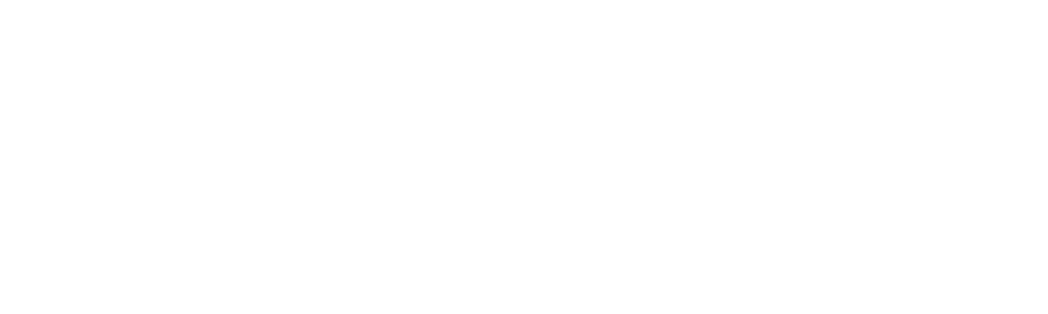 Voice Focus