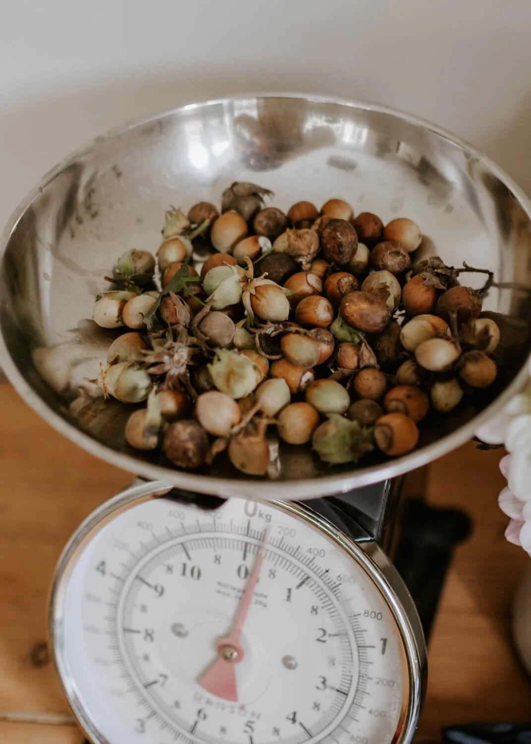 Foraged hazlenuts recipe for easy breakfast bars | A Wholesome Life | Josephine Brooks